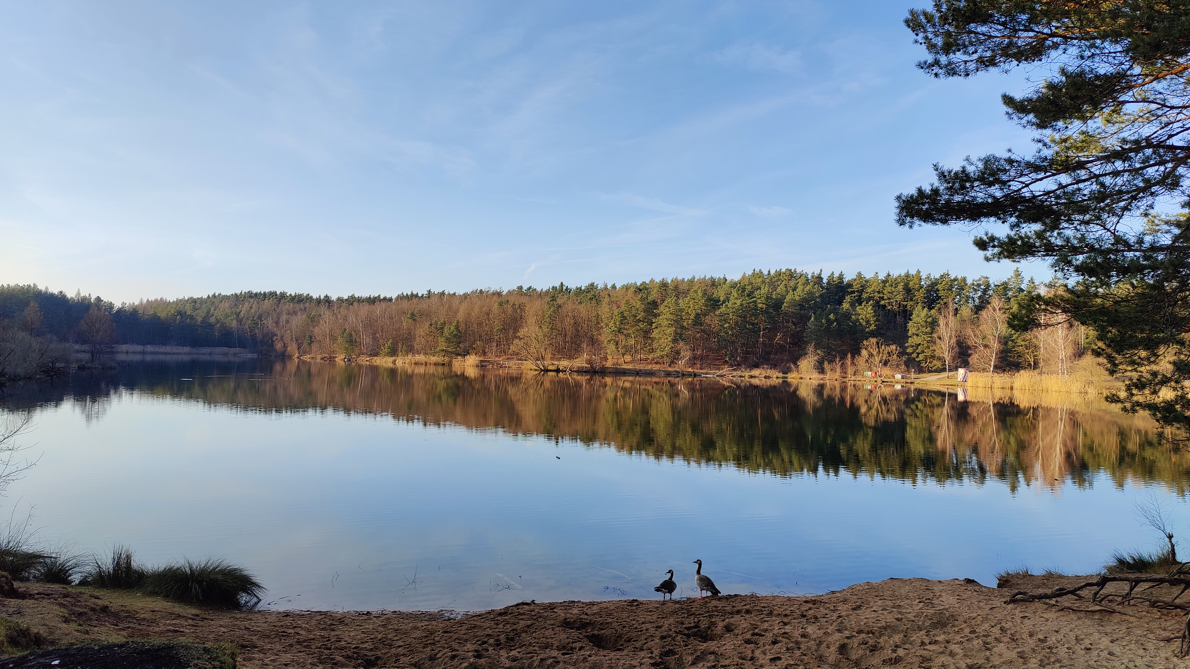 Nürnberg - Birkensee