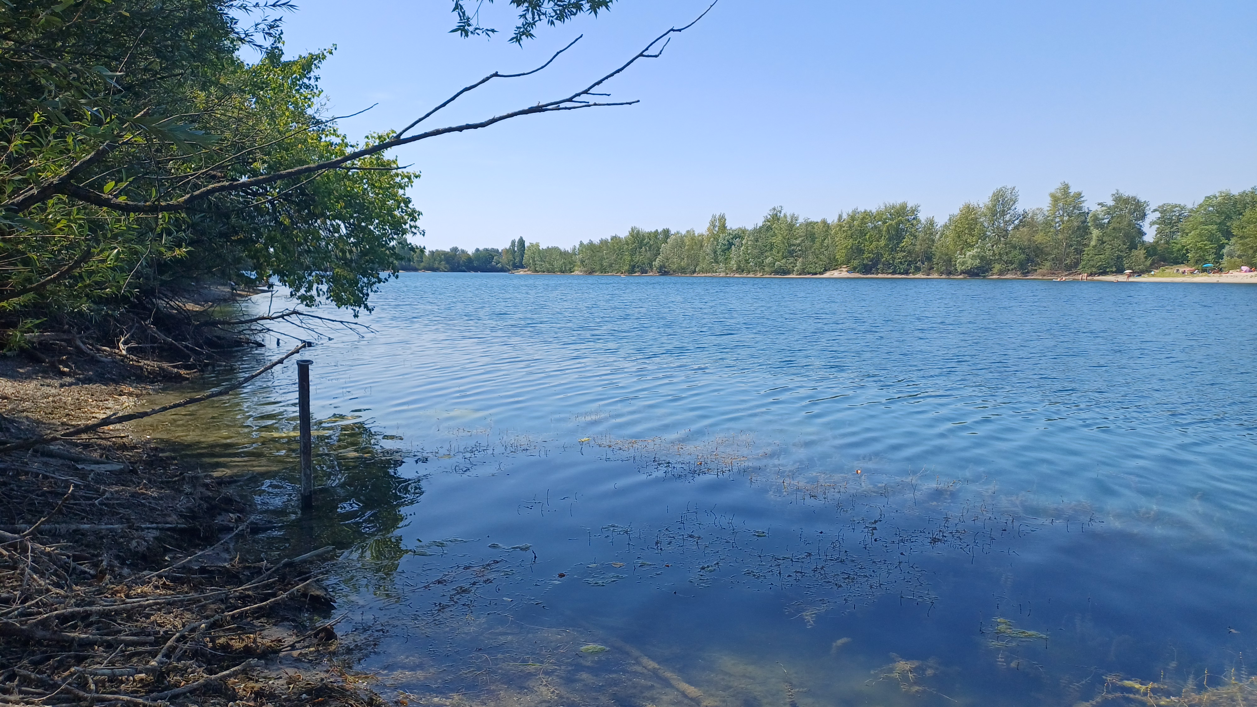 Binsfeldsee